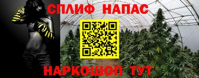соль ск Ипатово